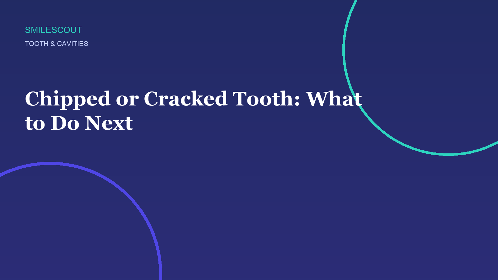 Chipped or Cracked Tooth: What to Do Next